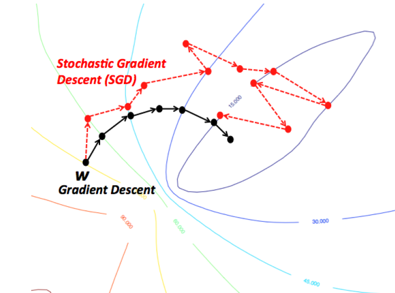 Figure 2: Unlike in gradient descent, the value of the cost function does not necessarily decrease with each iteration in stochastic gradient descent. Even if the error on one particular training example is reduced, it is possible (and in the beginning, almost as likely) that the error on the entire training set will increase. With proper tuning of the learning rate, however, stochastic gradient descent will approach the same minimum as gradient descent. (Source: BogoToBogo)